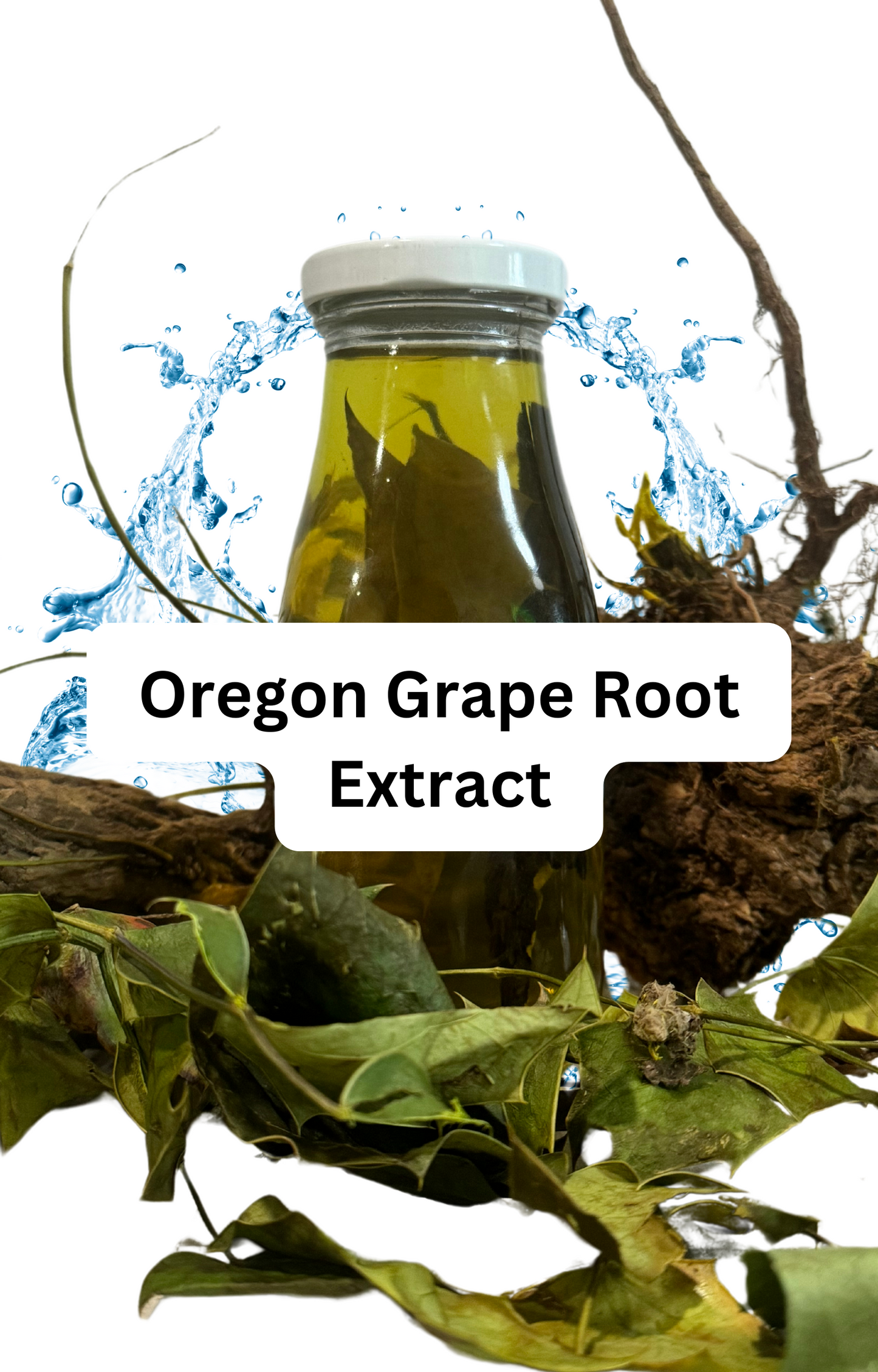 Oregon Grape Root Extract