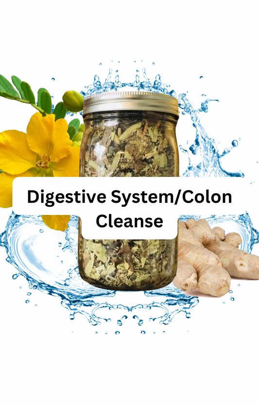 Digestive System/Colon Cleanse